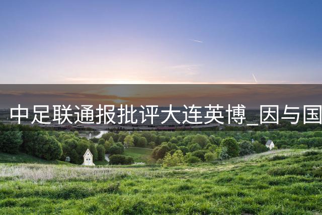 中足联通报批评大连英博 因与国安比赛发生推搡事件